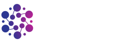 Nettfokus (7)