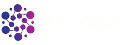Nettfokus AS